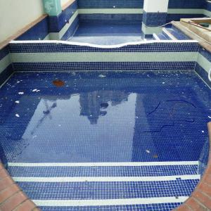 Piscina mayo 2012